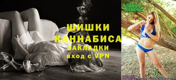 первитин Заполярный